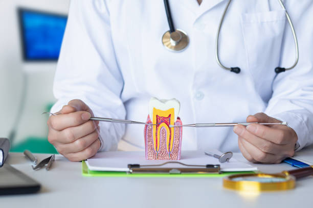 Best Knocked-Out Tooth Emergency  in Blacklick Estates, OH